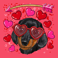 Valentine's Day  Dachshund Puppy Premium Sweatshirt | Teevron