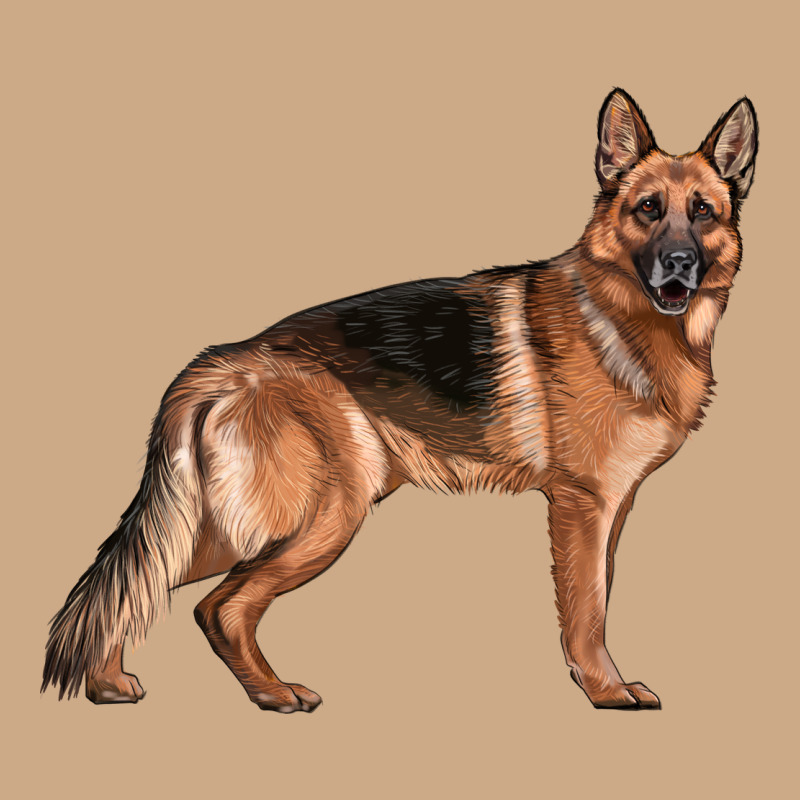 German Shepherd Dog Illustrations Vintage Hoodie by LillyAllenDesigns | Teevron