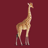 Giraffe Zipper Hoodie | Teevron