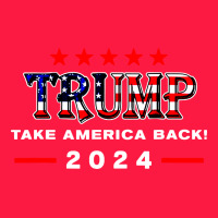 Donald Trump 2024 Take America Back Election Zipper Hoodie | Teevron