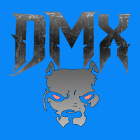 Dmx Zipper Hoodie | Teevron