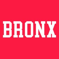 Bronx Zipper Hoodie | Teevron