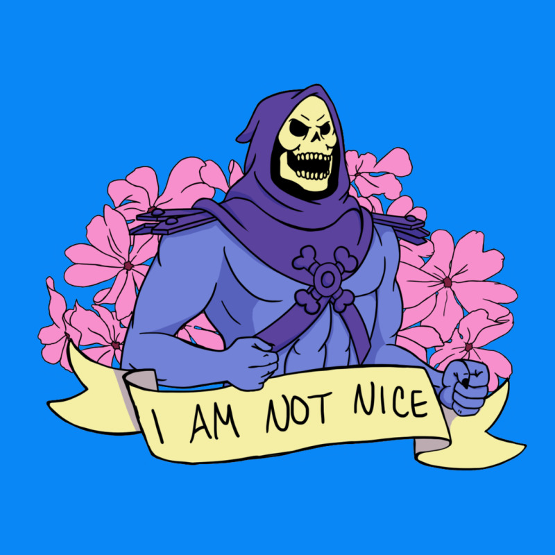 Vintage Skeletor ı Am Not Nice Zipper Hoodie by artisFamous | Teevron