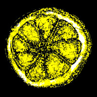 The Stone Roses Zipper Hoodie | Teevron