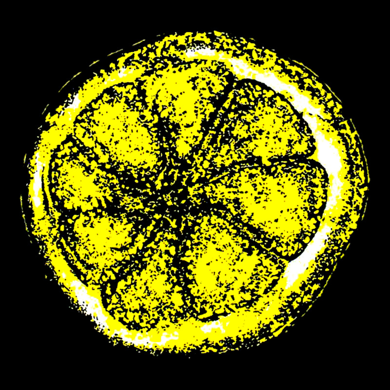 The Stone Roses Zipper Hoodie by artisFamous | Teevron