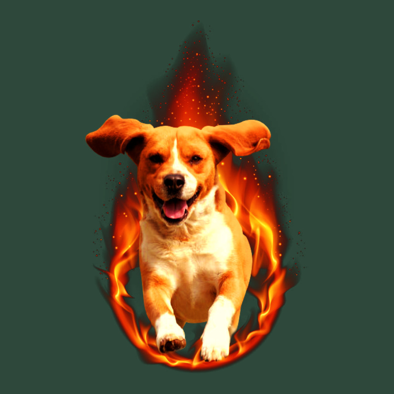 Dog In Fire Zipper Hoodie by artisFamous | Teevron