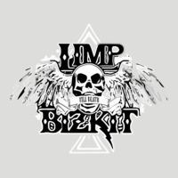 Limp Bizkit Essential Zipper Hoodie | Teevron