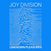 Joy Division Classic Zipper Hoodie | Teevron