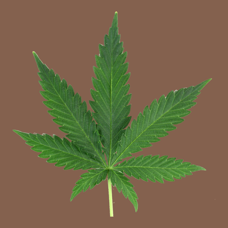 Weed Leaf Zipper Hoodie by artisFamous | Teevron