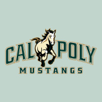Cal Poly Mustangs Zipper Hoodie | Teevron