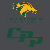 Cal Pol Pomona Zipper Hoodie | Teevron