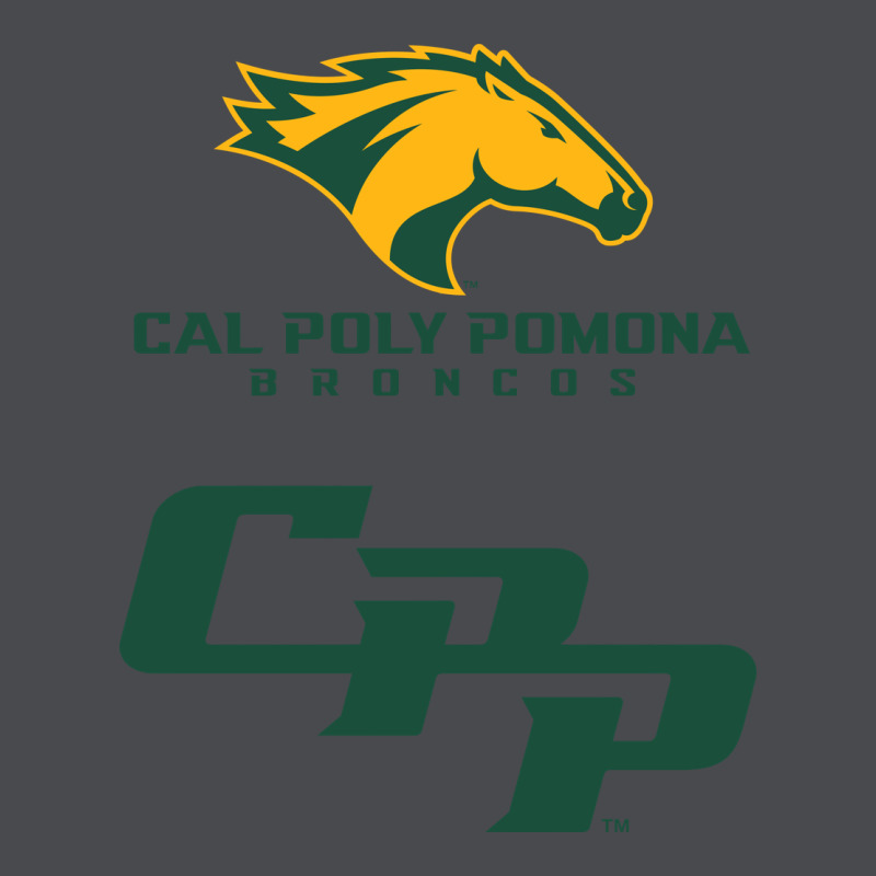 Cal Pol Pomona Zipper Hoodie by artisFamous | Teevron