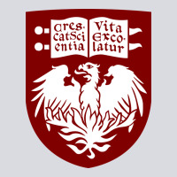 College Of Chicago Zipper Hoodie | Teevron