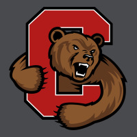 Cornell Big Red Zipper Hoodie | Teevron