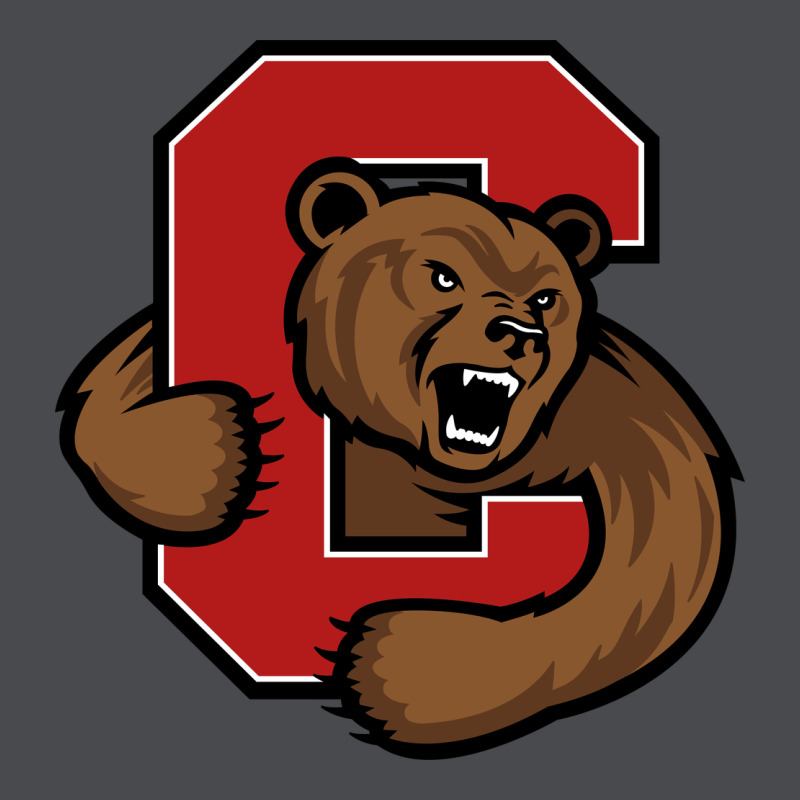 Cornell Big Red Zipper Hoodie by artisFamous | Teevron