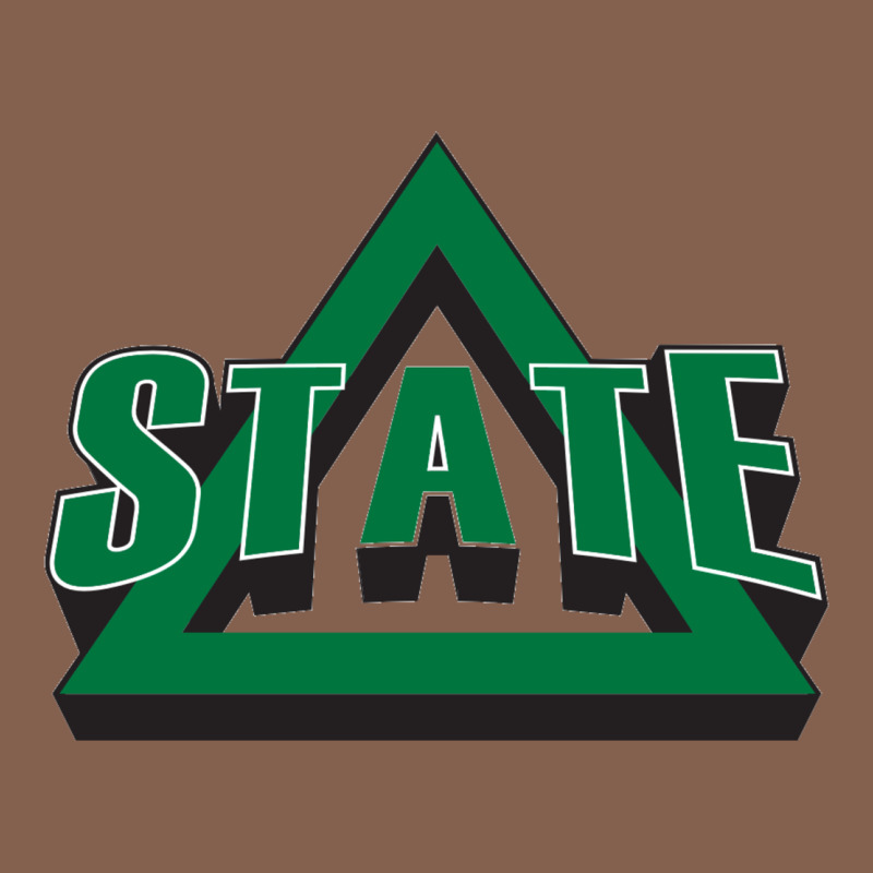 Delta State Athletics Zipper Hoodie by artisFamous | Teevron