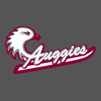 Augsburg University Zipper Hoodie | Teevron