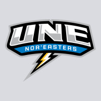 New England University Zipper Hoodie | Teevron