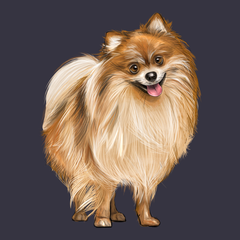 Pomeranian Dog Illustrations Vintage Hoodie by LillyAllenDesigns | Teevron