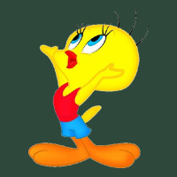 Tweety Bird Zipper Hoodie | Teevron