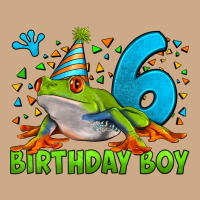 Birthday Boy Frog Age 6 Vintage Hoodie | Teevron