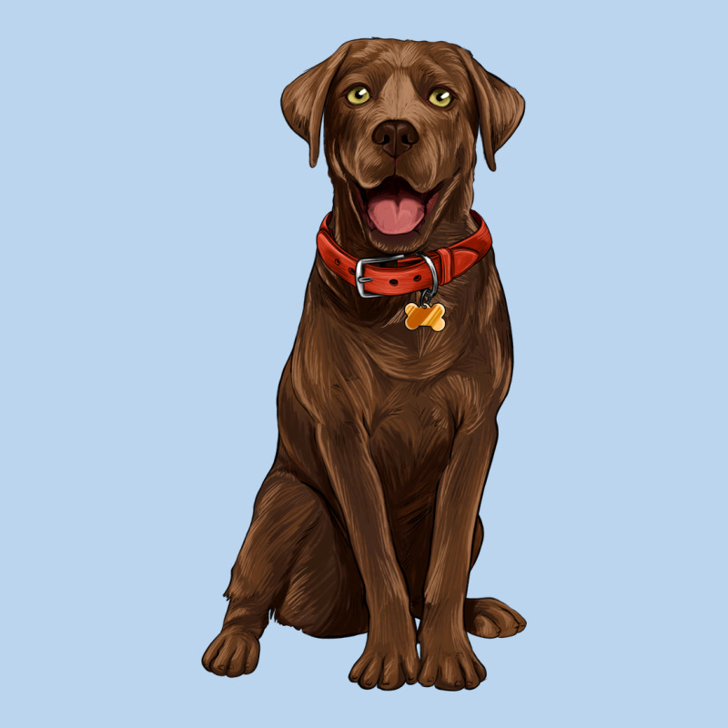Chocolate Lab Labrador Retriever Classic Tee by Artiststas | Teevron