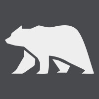 Bear Zipper Hoodie | Teevron