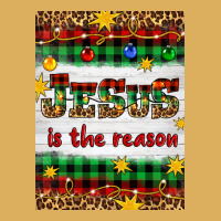 Christmas Jesus Is The Reason Premium Hoodie | Teevron