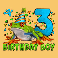 Birthday Boy Frog Age 3 Vintage Hoodie | Teevron