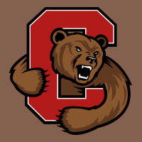 The Cornell Big Red Zipper Hoodie | Teevron