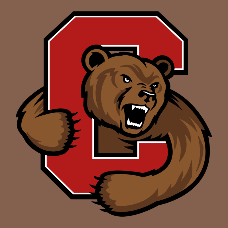 The Cornell Big Red Zipper Hoodie by linhVisuals | Teevron
