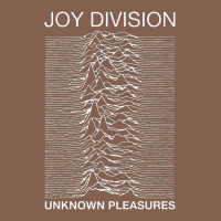 Joy Division Zipper Hoodie | Teevron