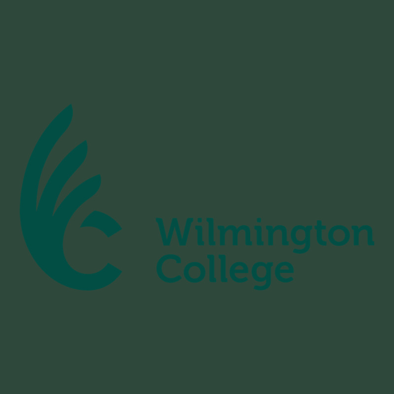 Wilmington College Zipper Hoodie by linhVisuals | Teevron