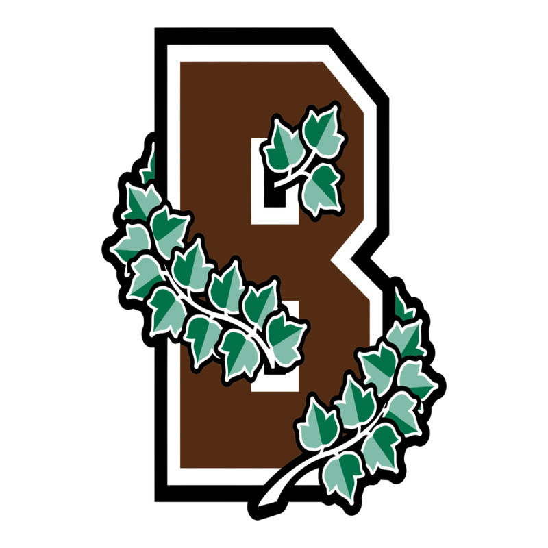 Brown University Zipper Hoodie by linhVisuals | Teevron