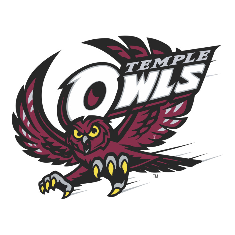 Temple Owls Zipper Hoodie by linhVisuals | Teevron