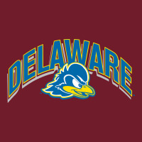Delaware Sportss Zipper Hoodie | Teevron