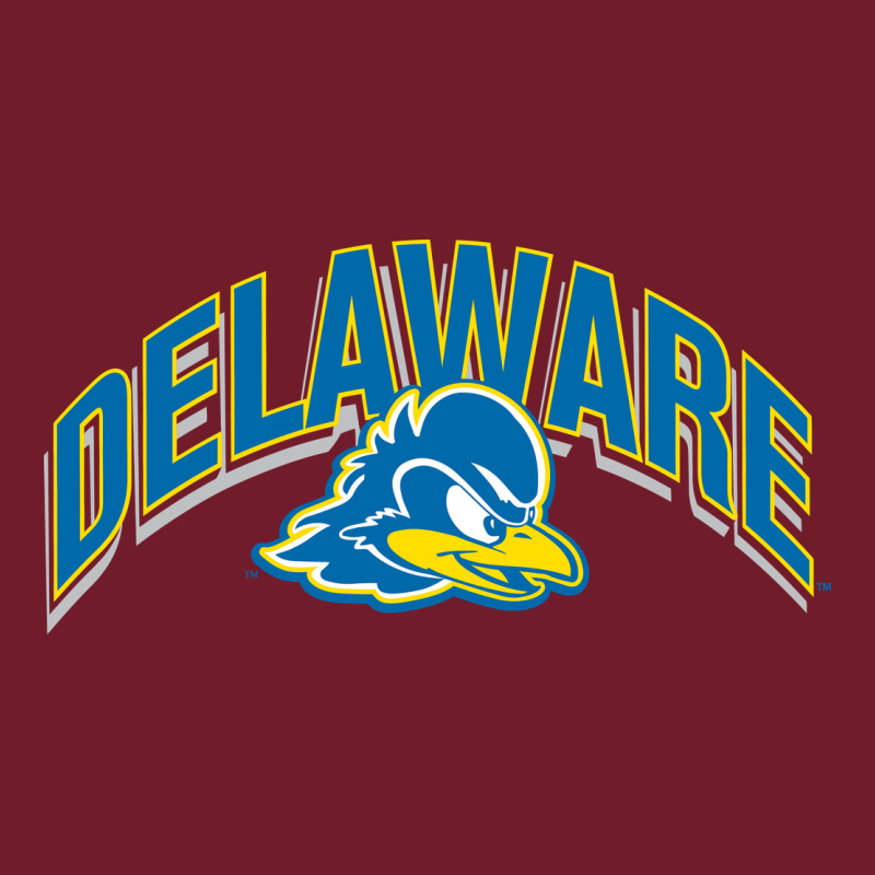 Delaware Sportss Zipper Hoodie by linhVisuals | Teevron
