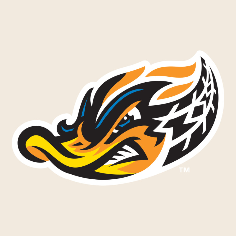Akron-rubber-ducks Zipper Hoodie by linhVisuals | Teevron