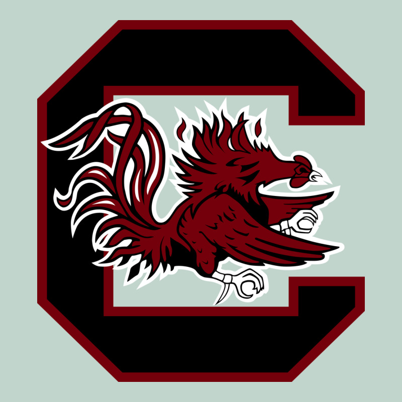 The Gamecocks Athletics Zipper Hoodie by linhVisuals | Teevron