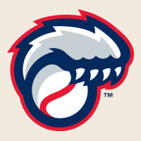 New Hampshire Fisher Cats Zipper Hoodie | Teevron