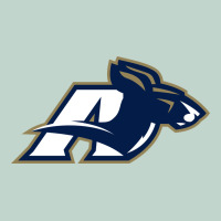 Akron University Zips Zipper Hoodie | Teevron