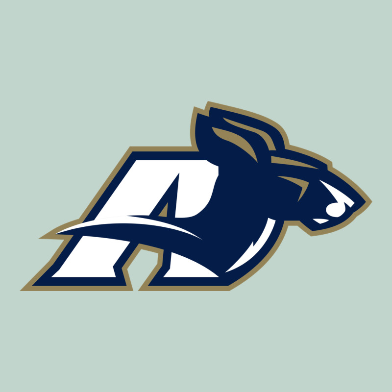 Akron University Zips Zipper Hoodie by linhVisuals | Teevron