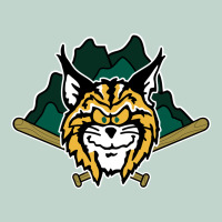 Lynchburg Hillcats Baseball Zipper Hoodie | Teevron