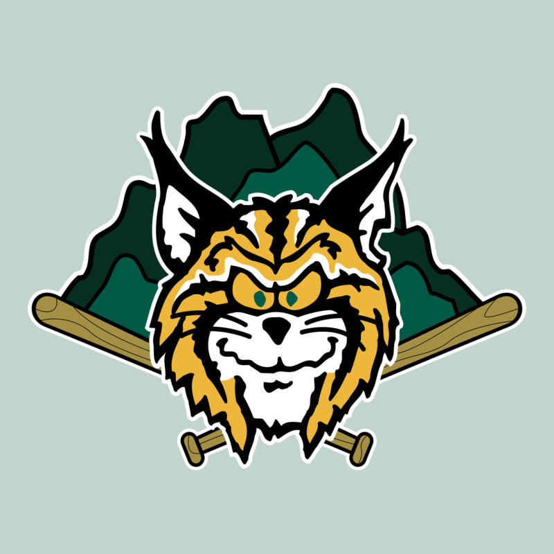 Lynchburg Hillcats Baseball Zipper Hoodie by linhVisuals | Teevron
