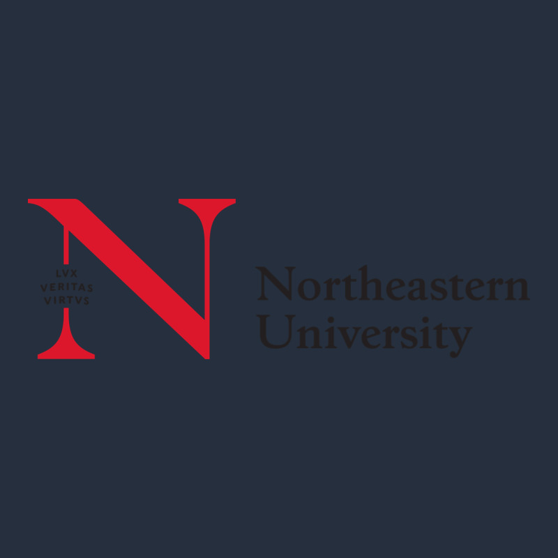 The The Northeastern Zipper Hoodie by linhVisuals | Teevron