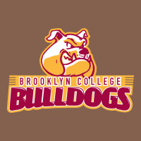 Brooklyn College Zipper Hoodie | Teevron