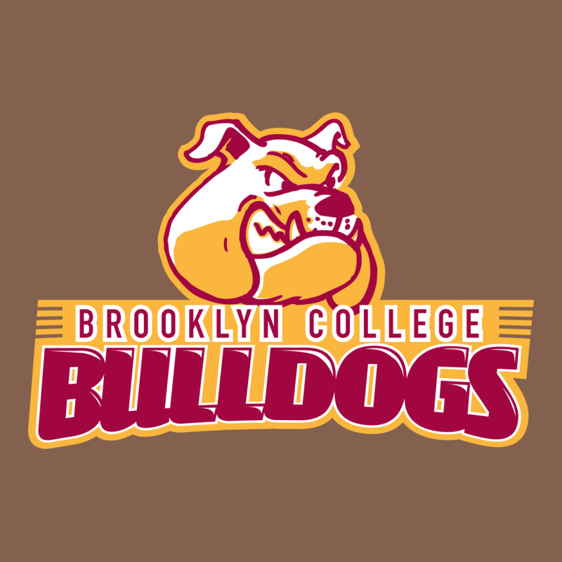 Brooklyn College Zipper Hoodie by linhVisuals | Teevron