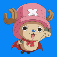 One Piece Zipper Hoodie | Teevron