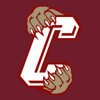 Charleston Cougars Zipper Hoodie | Teevron