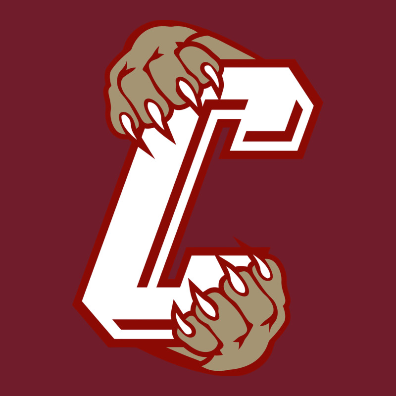 Charleston Cougars Zipper Hoodie by linhVisuals | Teevron